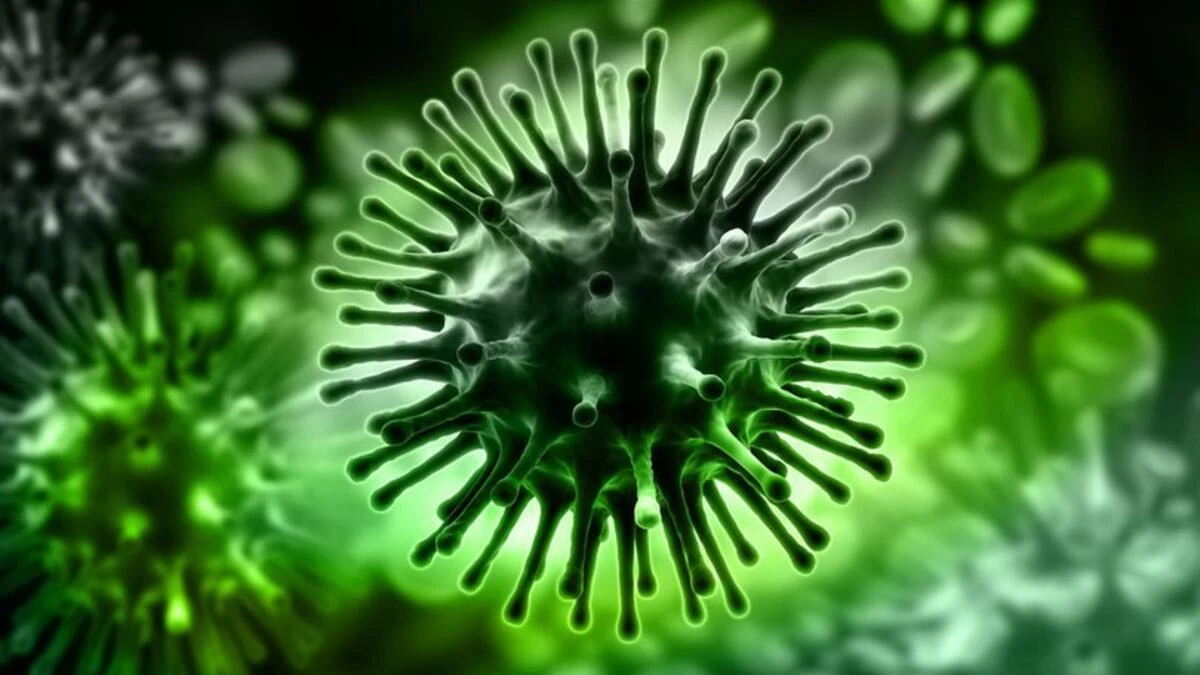 MERS Virüs Salgını